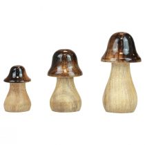 Artikel Dekorativa svampar träsvampar brun glanseffekt höstdekoration H6/8/10cm