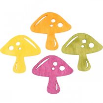 Artikel Spridda svampar, höstdekorationer, lyckliga svampar att dekorera apelsin, gul, grön, rosa H3.5 / 4cm B4 / 3cm 72st