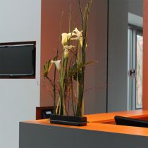 Artikel OASIS® Black Bord Deco Medi Floral Foam 4st