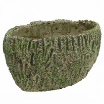 Artikel Planteringskärl betong oval antik look grön, brun 24×14×13cm
