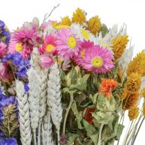 Artikel Torkad blombukett halmblommor strand lavendel Phalaris korn 55cm