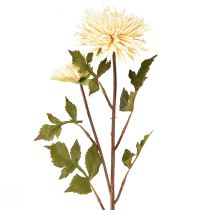 Artikel Krysantemum kräm konstgjord blomma med 2 blommor L70cm