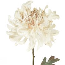 Artikel Krysantemum Konstgjorda Dekorativa Blommor Kräm L72cm 2st