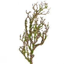Dekorativ gren med mossa konstgjord höstdekor grågrön L78cm