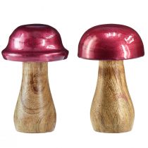 Artikel Träsvampar dekorativa svampar trä röd glans Ø6cm H10cm 2st