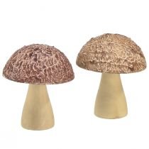 Träsvampar dekorativa svampar bordsdekoration höstbrun naturell 5×6cm 8st