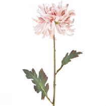 Artikel Konstgjorda krysantemum Rosa Mauve Ø13cm L72cm 2st
