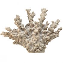 Artikel Detaljerad koralldekoration av polyresin i grått - 26 cm - maritim elegans för ditt hem