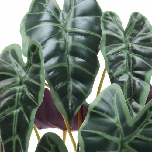 Artikel Alocasia pil bladgrön, violett konstväxt H48cm