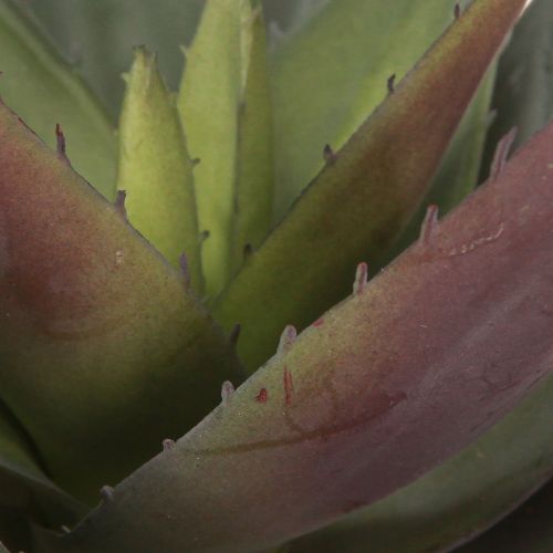 Artikel Aloe Vera konstgjorda växt Lila konstgjorda suckulenter Ø18cm