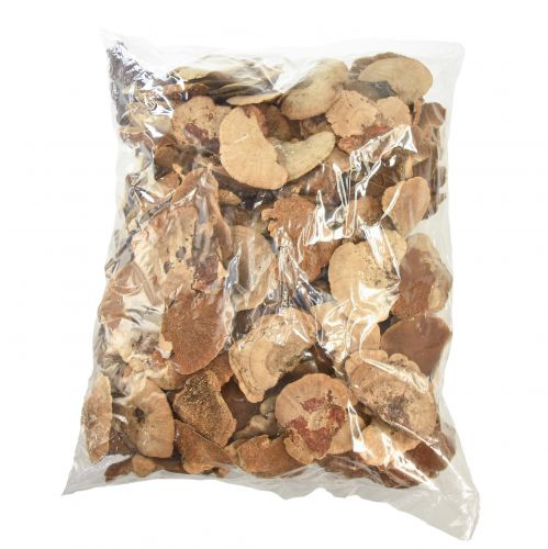 Floristik24 Trädsvamp liten naturlig trädsvamp dekoration 4-6cm 1kg
