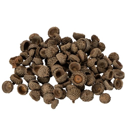 Artikel Naturliga ekollonhattar, dekorativa skålar för höst och advent, 2 cm, 300 g