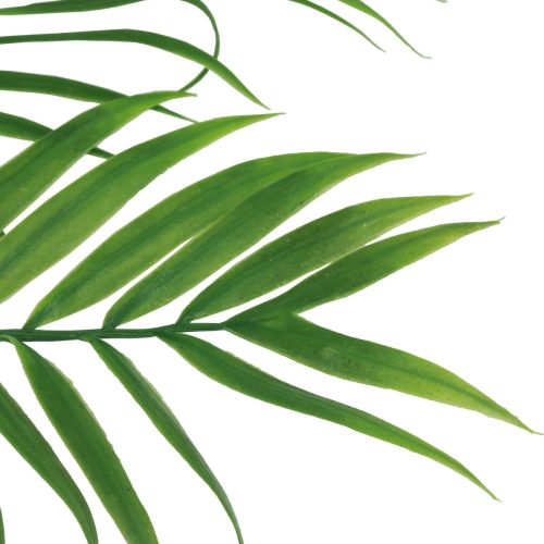 Artikel Konstgjorda palmblad Konstgjorda gröna växter 56cm 3st