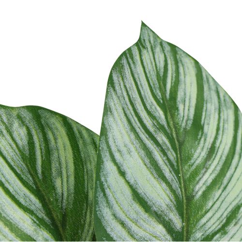 Artikel Calathea Konstgjord Korg Marante Konstgjorda växter Grön 51cm