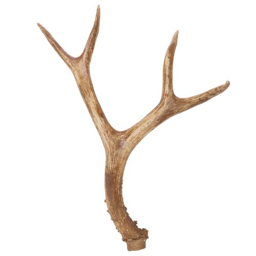 Artikel Konstgjorda horn, naturtrogna, rustika, 32 cm