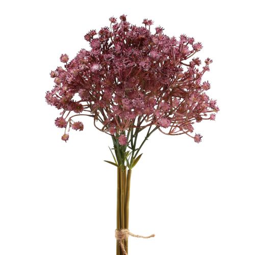 Floristik24 Gypsophila Gypsophila Gypsophila konstlila 35cm 5 st