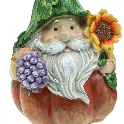 Floristik24 Hösttomte pumpa dekoration tomtefigur assorterad H11,5cm 2st