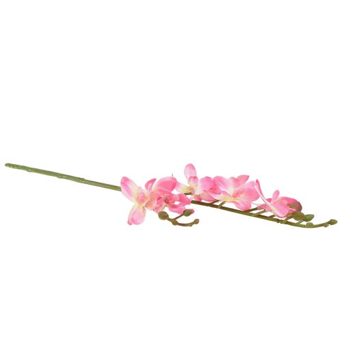 Artikel Liten Orkidé Phalaenopsis Konstgjord Blomma Rosa 30cm