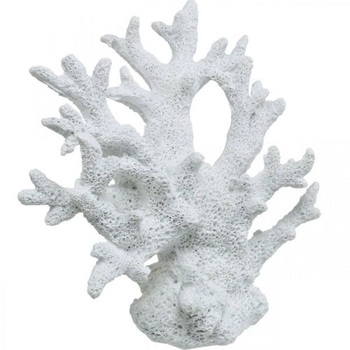 Floristik24 Maritim dekoration korallvit sommardekoration 14,5×14,5cm