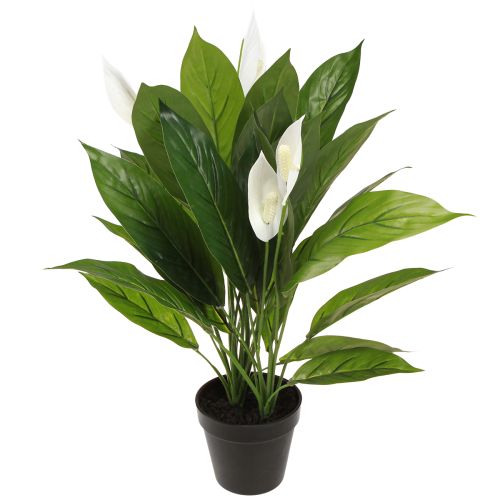 Konstgjord krukväxt Single Leaf Peace Lily Grön Vit 55cm