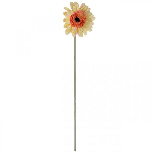 Artikel Konstgjord gerbera blomma konstgjord blomma aprikos Ø11cm L50cm