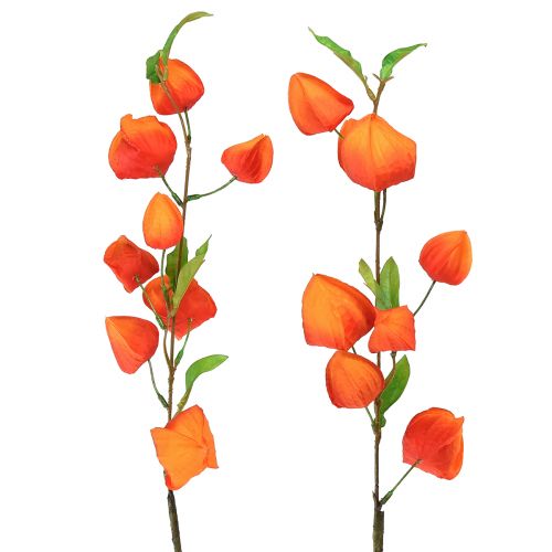 Floristik24 Konstgjord blomma orange lykta blomma Physalis dekorativa sidenblommor 93cm 2 st