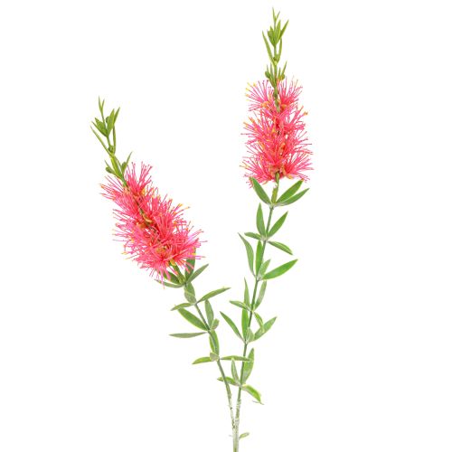 Konstgjorda Blommor Röda Carmine Cylinderrengöringsmedel 70cm 3st