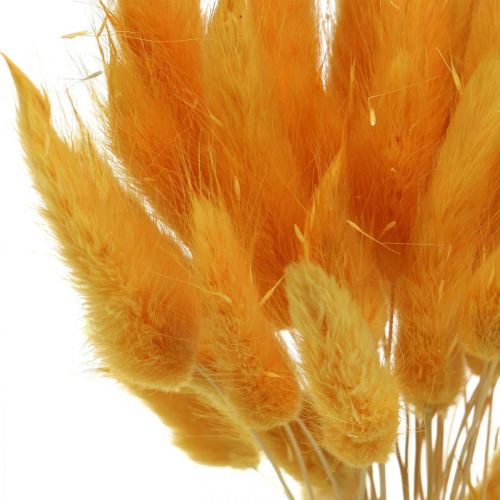 Artikel Lagurus Yellow Velvet Grass Rabbit Tail Grass L40–55cm 25g