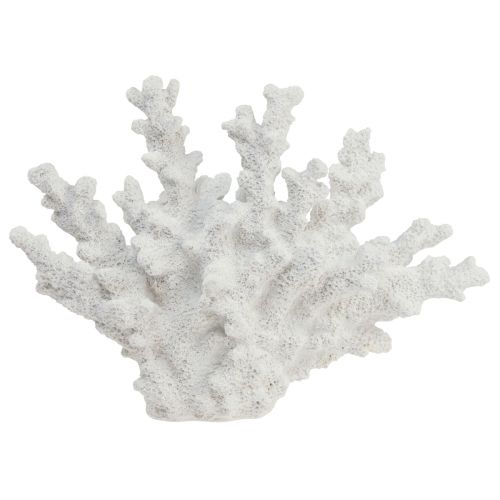 Floristik24 Maritim dekoration korall polyresin vit 18,5×26cm