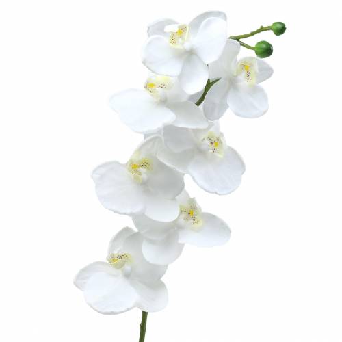 Floristik24 Konstgjord orkidé konstgjord blomma vit Ø6,5-8cm 77cm