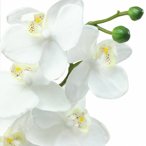 Artikel Konstgjord orkidé konstgjord blomma vit Ø6,5-8cm 77cm