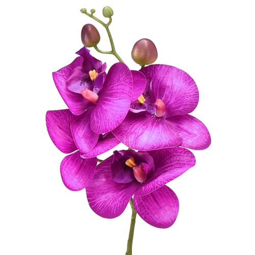 Floristik24 Orkidé Artificiell Phalaenopsis 4 blommor Fuchsia 72cm