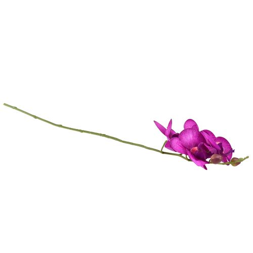 Artikel Orkidé Artificiell Phalaenopsis 4 blommor Fuchsia 72cm