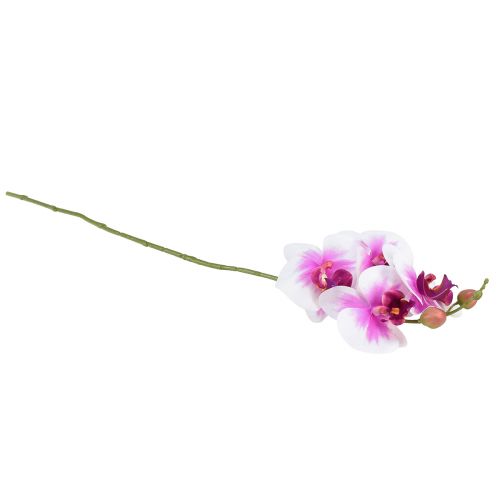 Artikel Orkidé Artificiell Phalaenopsis 4 Blommor Vit Rosa 72cm