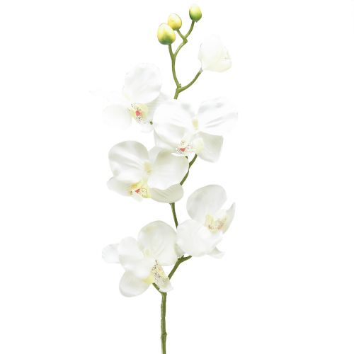 Floristik24 Orkidé Phalaenopsis konstgjord 6 blommor vit kräm 70cm