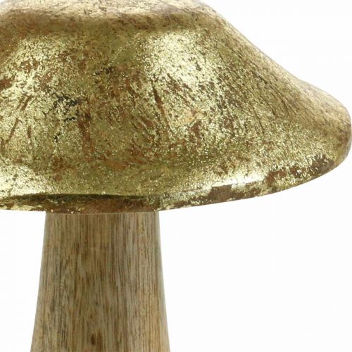 Floristik24 Svamp mangoträ guld, naturlig deco svamp stor Ø12cm H15cm 2st