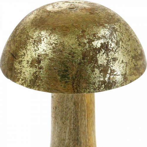 Floristik24 Svamp mangoträguld, naturlig dekorativ svamp Ø9cm H15,5cm 2st