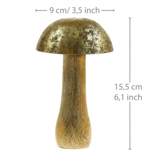 Floristik24 Svamp mangoträguld, naturlig dekorativ svamp Ø9cm H15,5cm 2st