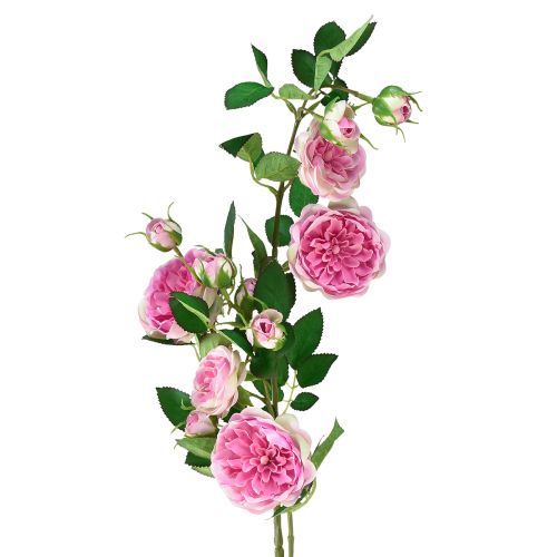 Floristik24 Rose gren siden rosor konstgren rosor rosa kräm 79cm