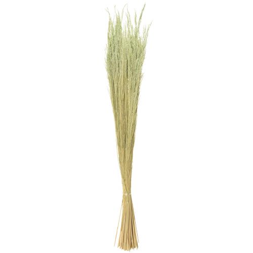 Artikel Böjt gräs Agrostis Capillaris Torrgräs Grön 65cm 80g