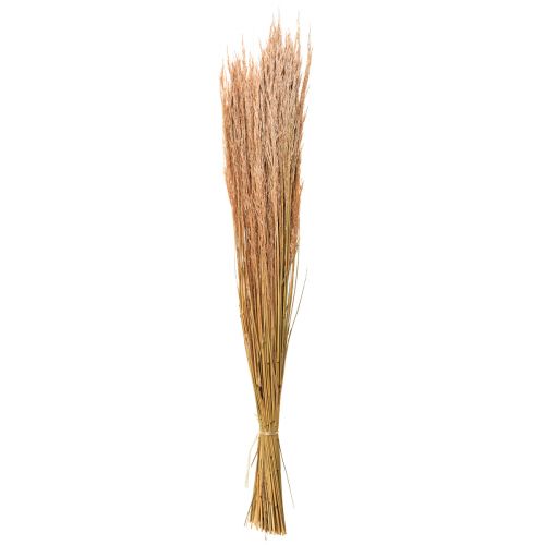 Artikel Röd Böjt Gräs Agrostis Torrt Gräs Röd Brun 65cm 80g