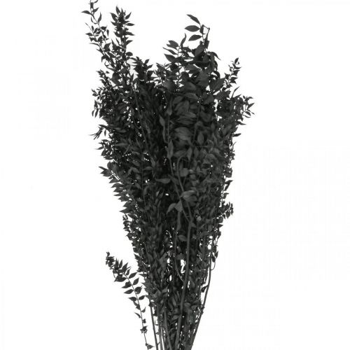 Ruscus grenar dekorativa grenar torkade blommor svarta 200g