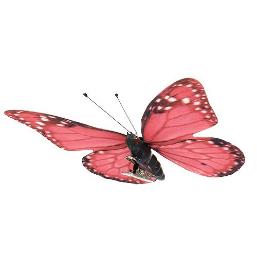 Floristik24 Fjärilsrosa på klämma 11cm 6st