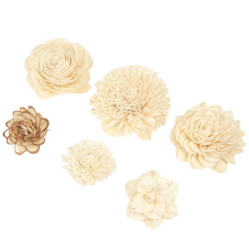 Floristik24 Sola Blommor Trä Trä Blommor Dekoration Mix Cream 6-11cm 12-15 st