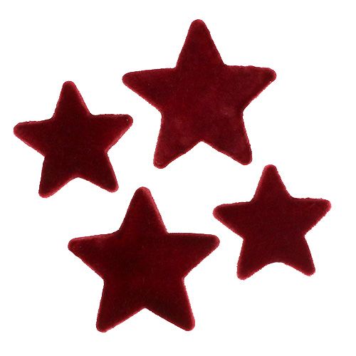 Floristik24 Juldekoration stjärnor bordeaux flockad bordsdekoration 4–5cm 40st