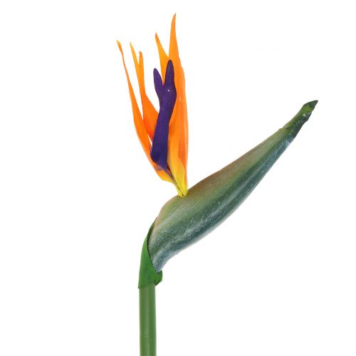 Strelitzia Bird of Paradise Artificial 98cm