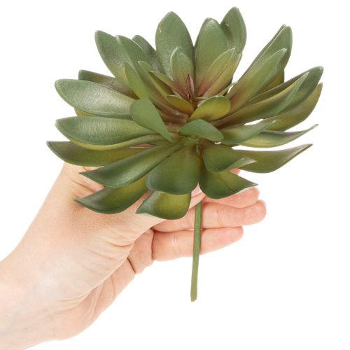 Artikel Konstgjord suckulent som prydnadsväxt, grön, 18 cm, 3 stycken