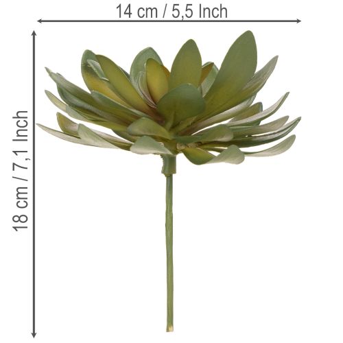 Artikel Konstgjord suckulent som prydnadsväxt, grön, 18 cm, 3 stycken