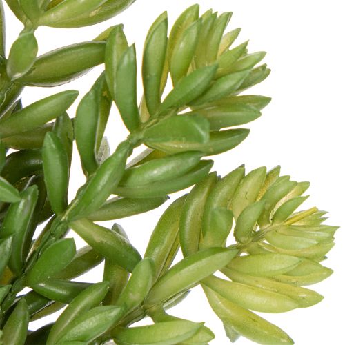 Artikel Konstgjord suckulentblomma för lättskött design av vardagsrum och kontor, 15 cm, 6 stycken