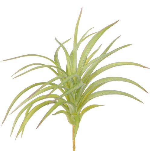 Tillandsia Gröna konstgjorda växter med pinne Ø17cm 3st